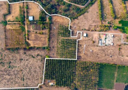 WhatsApp Image 2026-03-09 at 3.35.14 PM (1)