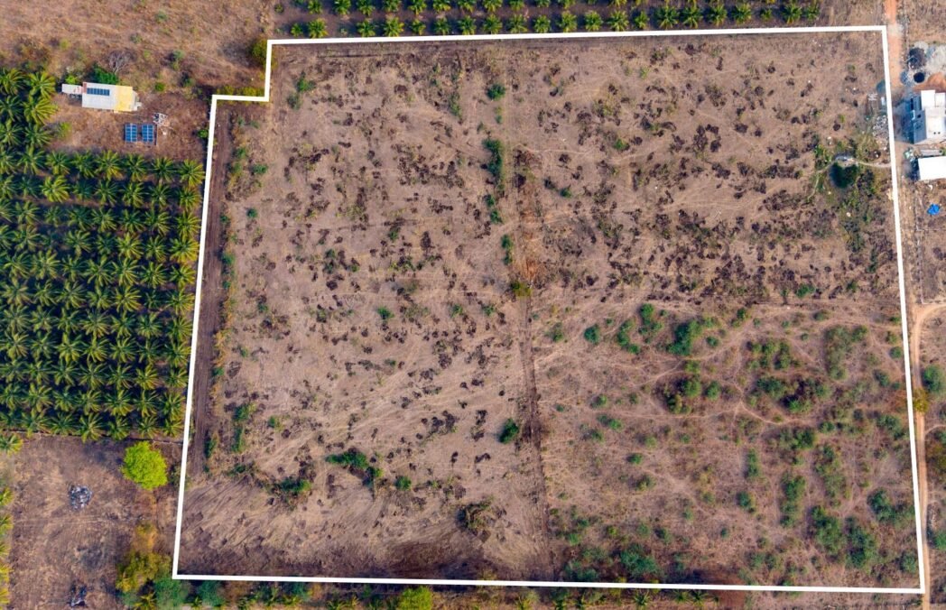 WhatsApp Image 2026-03-09 at 3.35.14 PM (2)