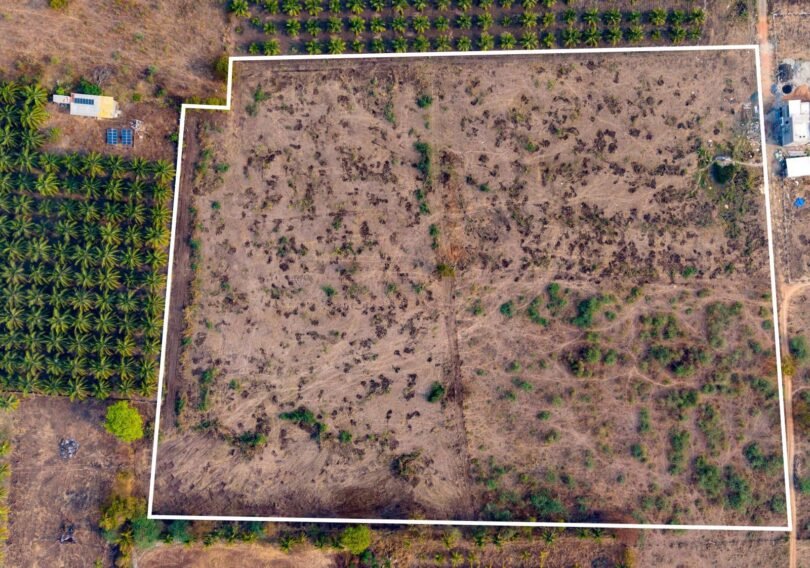 WhatsApp Image 2026-03-09 at 3.35.14 PM (2)