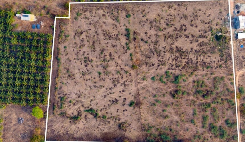 WhatsApp Image 2026-03-09 at 3.35.14 PM (2)